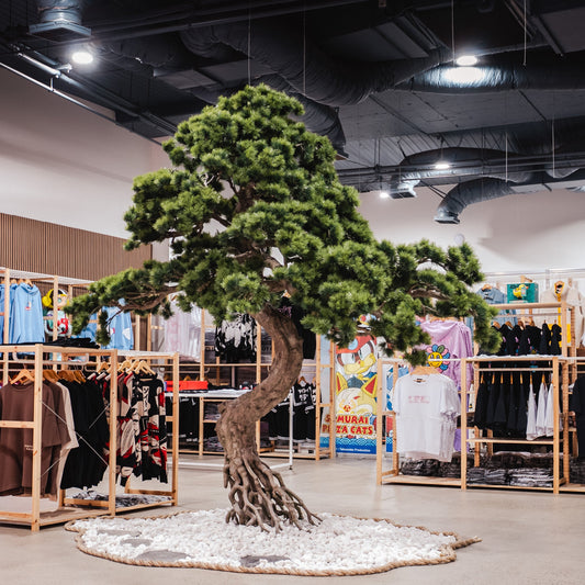Our Store