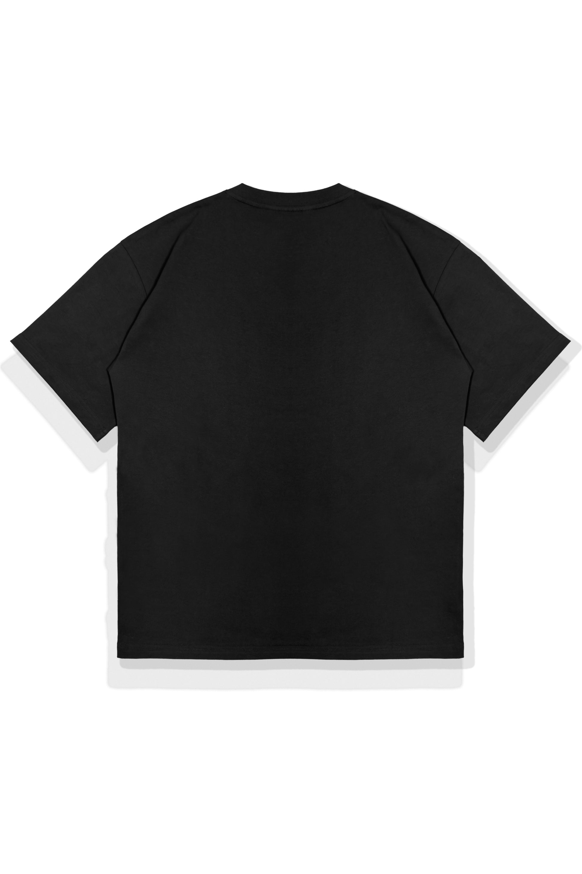 4c660c6f-809c-418f-bad1-8e56b2f2f608/Tee_GBTH_Black_Back.jpg