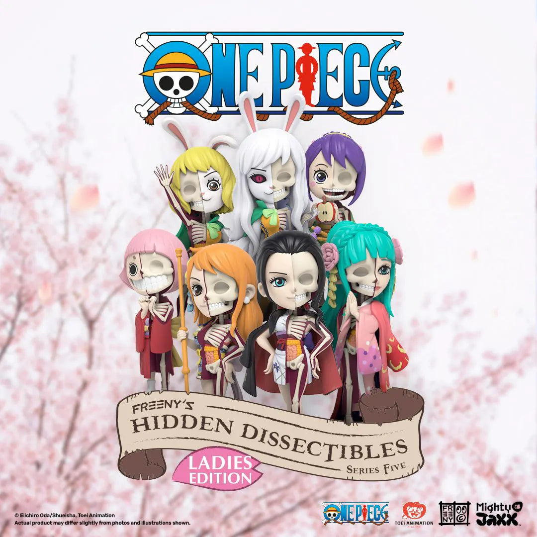 FREENY’S HIDDEN DISSECTIBLES: ONE PIECE (LADIES EDITION)